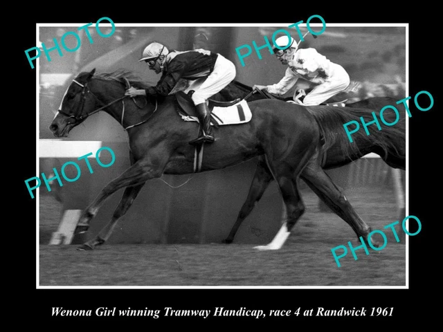 Old Large Historic Horse Racing Photo Wenona Girl Winning At Randwick 1961