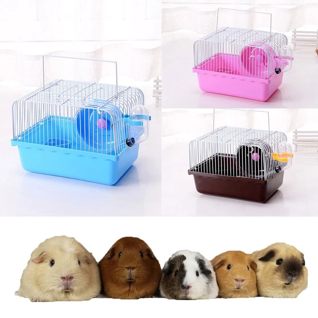 d'eau Voyage Cage de rongeur Transporteur d'animaux Hamster Petit animal Cage