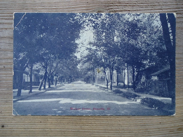Vintage Postcard, Walnut Street, Danville, Illinois IL 1908