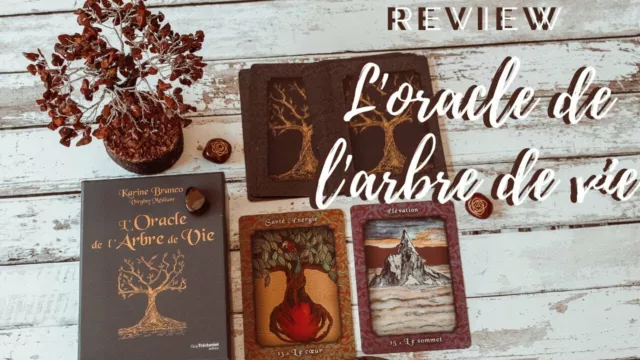 ESOTERIQUE coffret l oracle de la sorcière noire et des runes livre + 44 cartes