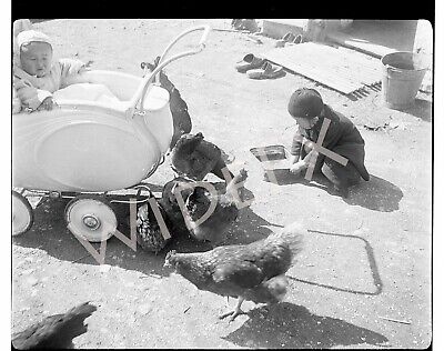 1940s Era Germany Photo Negative Farm Life Child Feeding Chicken Toddler