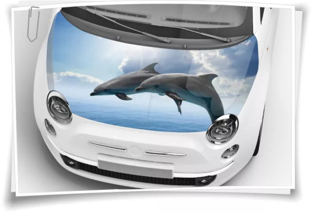 Motorhaube Auto-Aufkleber Delphin Delphine Sonnenuntergang Meer  Steinschlag-Schutz-Folie Airbrush Tuning – Auto-Aufkleber