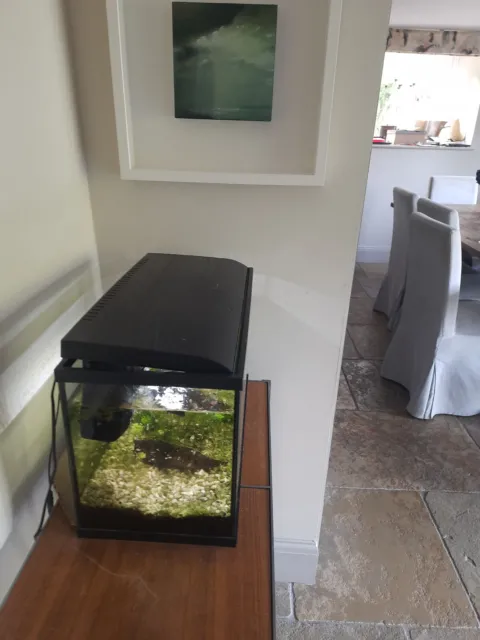 Black Tropical Glass Aquarium Fish Tank Kit Inc Filter LED Lights Heater 38L 3