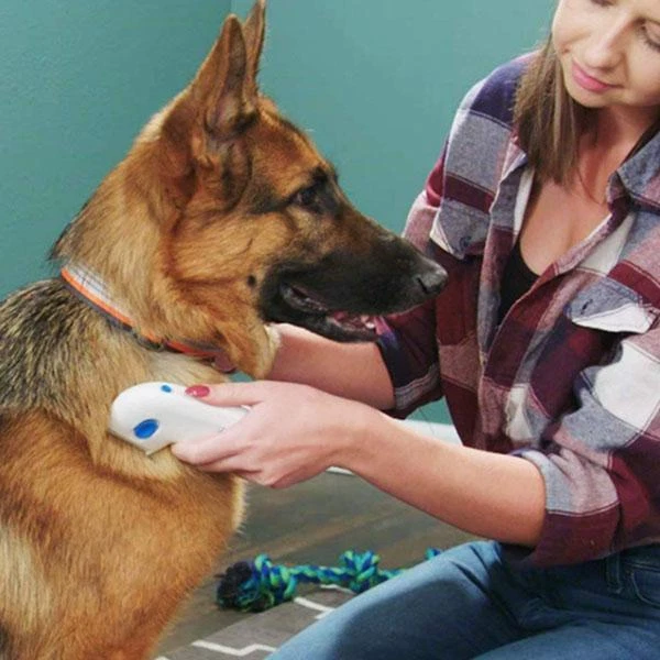 Pet Supplies Electric Brush Removal Lice Comb Head Cleaner Anti Fleas Terminator 4