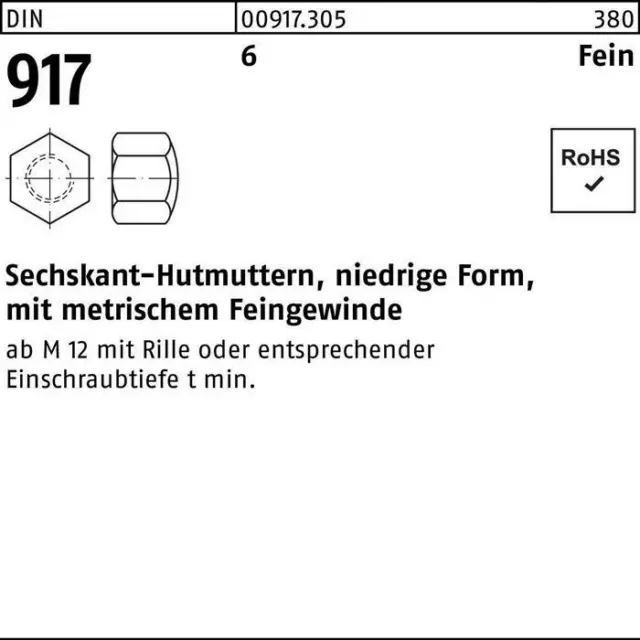 Sechskanthutmutter DIN 917 niedrige Form M 10 x 1 SW 17 6