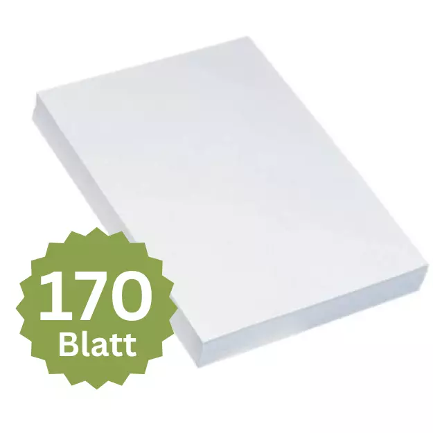 170 Blatt HP Kopierpapier Druckerpapier CHP910 A4 Papier Laser 80g weiß 146CIE