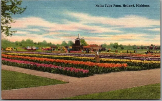 HOLLAND, Michigan Postcard "Nellis Tulip Farm" Flowers Windmill LL COOK Linen