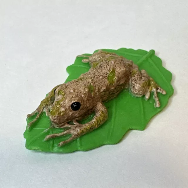 Yowie Mutable Rain Frog Animals Superpowers Series 7 Collection Toy 2” Figurine