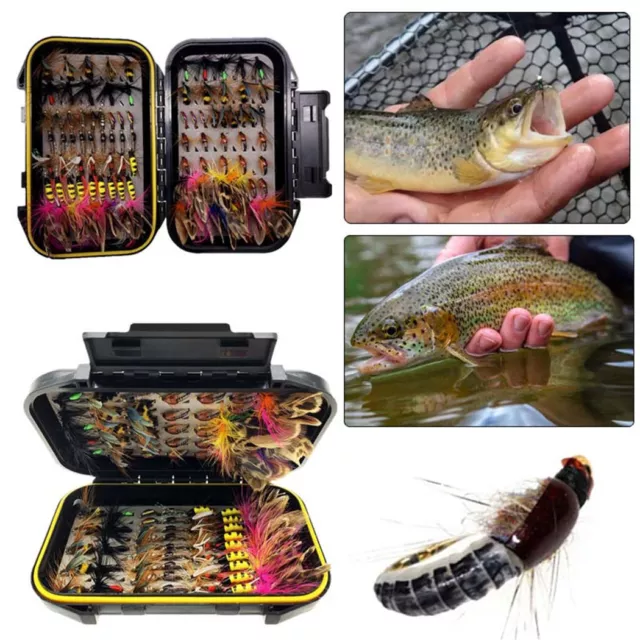 G Fly Box + Assorted Dry, Wet, Gold Head Nymph, Buzzers Trout