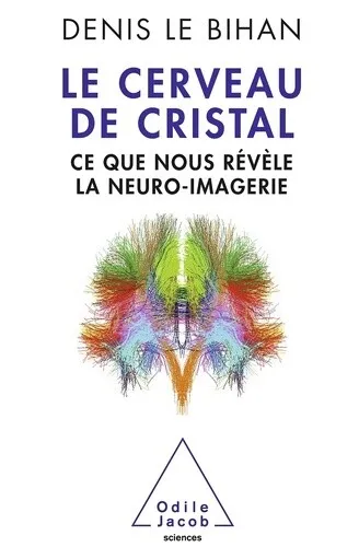 Le Cerveau de cristal: Ce que nous révèle la neuro-imagerie