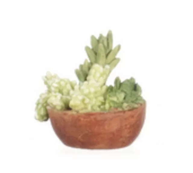 Dolls House Low Round Pot Full of Succulents Miniature Home or Garden Accessory