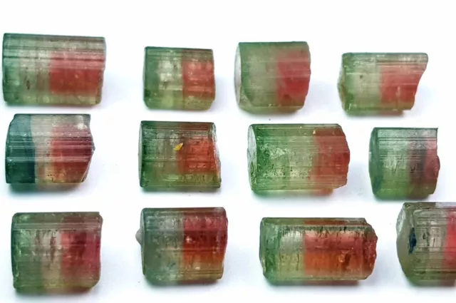 45 Ct Natural Terminated Bi Color Tourmaline 12PCsCrystals Lot From Afghanistan