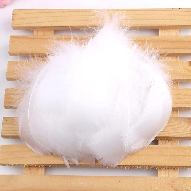 Marabou di piume colorate - Merceria Cheri - Rimini