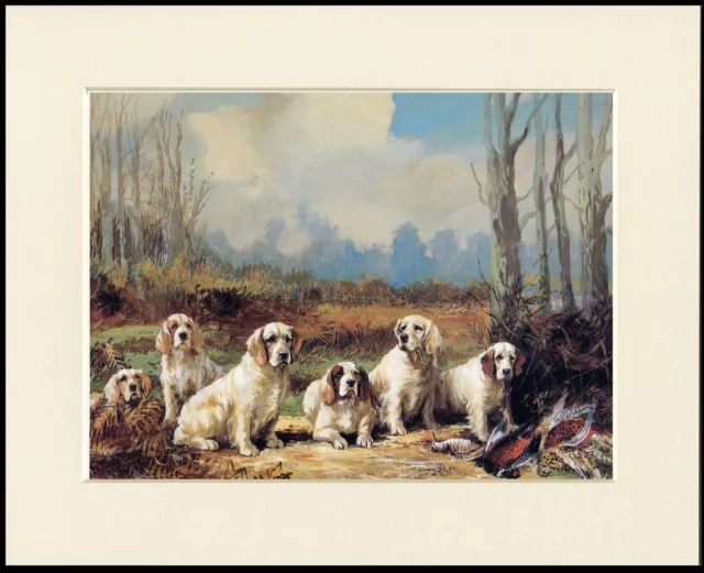 Clumber Spaniel Group Of Dogs Lovely Dog Art Print Mounted Ready To Frame