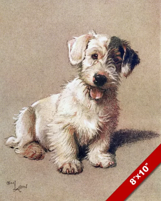 Sealyham Terrier Pet Puppy Dog Animal Art Cecil Aldin Painting Print Real Canvas