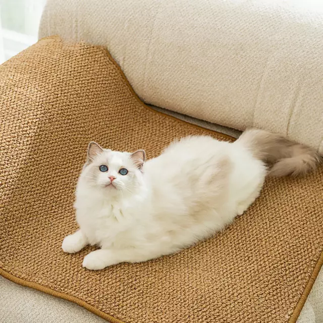 Tapis à gratter pour chat, tapis de sol à gratter pour porte d'armoire murale