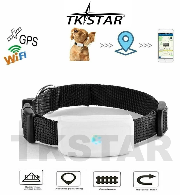 TKSTAR TK911 MINI GPS Tracker Ortung Peilsender Hund Katze Tier mit