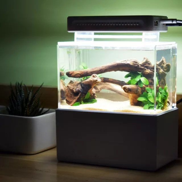 Portable Desktop Mini Fish Tank Aquarium Betta Water Filtration Led Light Decor 4