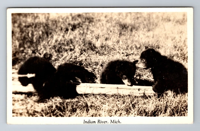 Indian River MI-Michigan RPPC, Bear Cubs Scenic View, Antique, Vintage Postcard