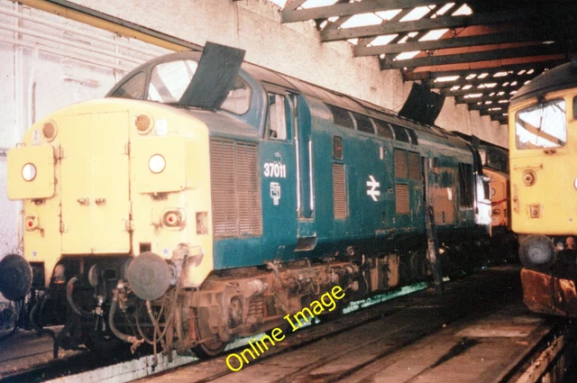 RAILWAY PHOTO 6X4 Class 37 37011 BR Blue inside unknown TMD c1983 £2.00 ...