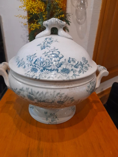 SUPERBE ANCIENNE PAIRE D'assiettes Bertrand Bordeaux Service
