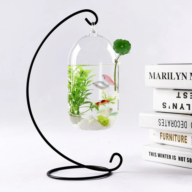 15cm Suspended Transparent Hanging Glass Fish Tank Infusion Bottle Aquarium