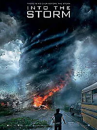 Into the Storm Blu-Ray (2014) Richard Armitage, Quale (DIR) cert 12 Great Value