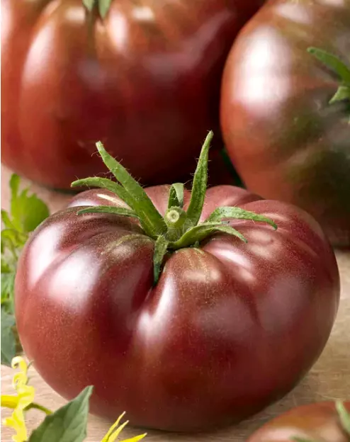 10 X Cherokee Purple Tomato Seeds-Easy Grow-Heirloom Gourmet Garden Vegetables