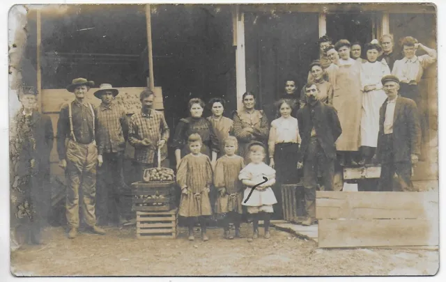 (6912)  Old RPPC Family or Workers by Crate of Apples ( Sign Keep Out Apples )