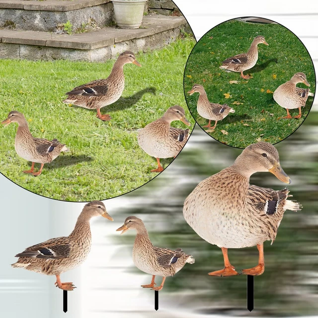 Hahn Gartenstecker Garten Dekoration Huhn Gartenfiguren Garten Statue Dekor