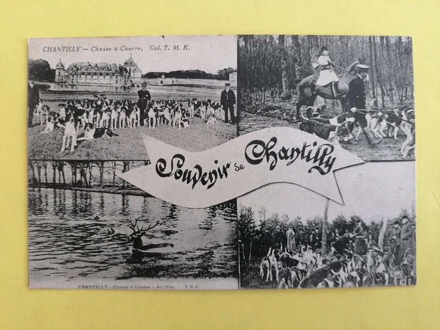 cpa 60 - SOUVENIR of CHANTILLY (Oise) RUNNING HUNT Hunt Château Chiens Deer