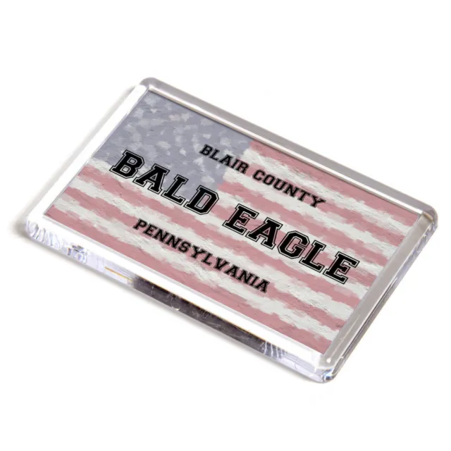 FRIDGE MAGNET - Bald Eagle - Blair, Pennsylvania - USA Flag
