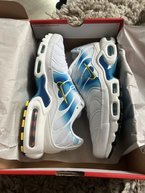 Nike air max plus tn Spray paint swoosh blue / white