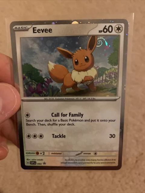 Eevee SVP043 Pokemon Obsidian Flames Holo Black Star Promo