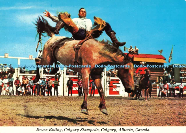 D072511 Canada. Bronc Riding. Calgary Stampede. Calgary. Alberta. United News. W