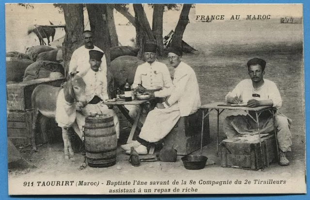 CPA MOROCCO: TAOURIRT - Baptiste the learned donkey of the 8th Company of the 2nd Tirailleurs