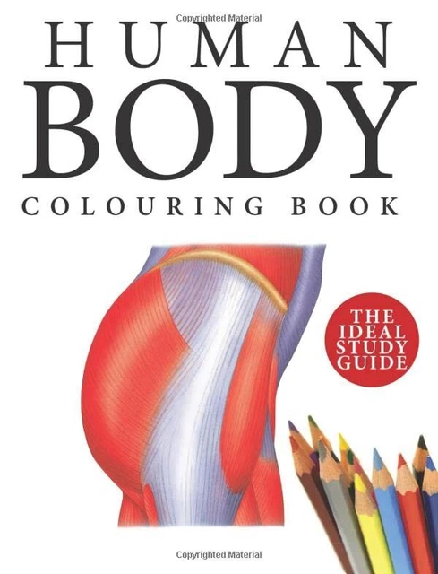 Enciclopedia De Anatomía Del Ejercicio (Color) (Spanish Edition) EBook