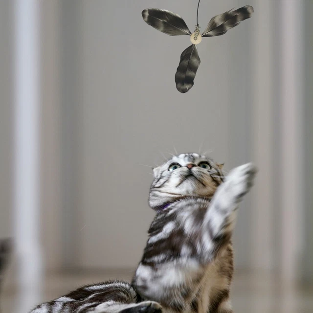 Spining Cat Toy Interactive Kitten Propeller Refills With Wand Playing Teaser