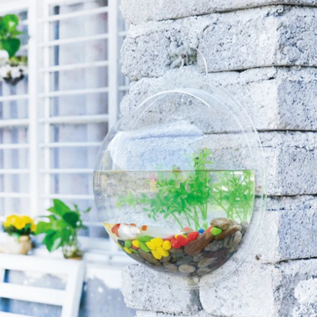Bolla da parete acquario sospesa 19,5 cm acquario da parete Die Blase