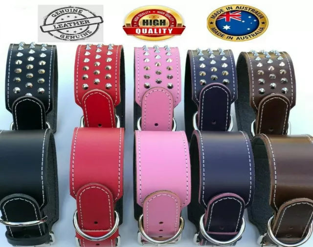 AUSTRALIAN MADE GENUINE Leather Wide Dog Collar Leads Harness Studded Plain Stud