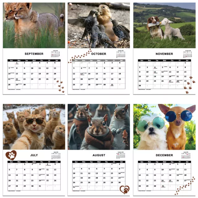 NEW 2025 DOGS Pooping Calendar 2025 DB 10.88 PicClick AU