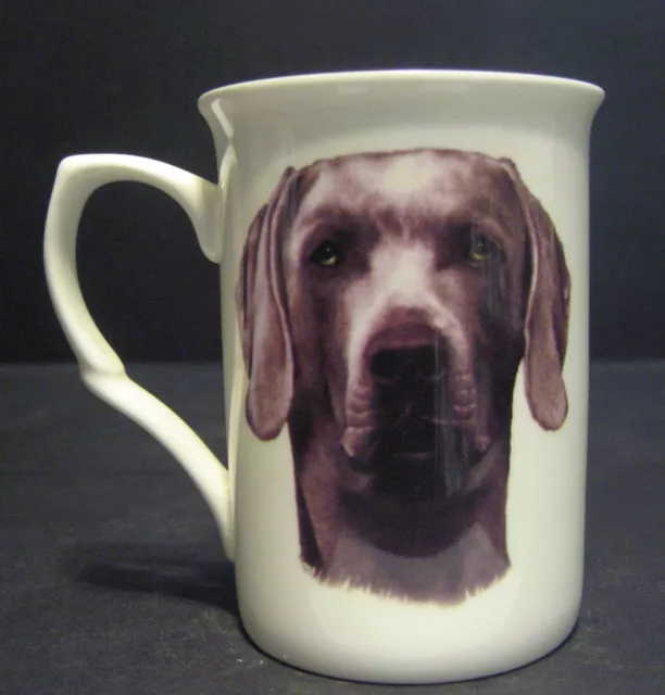 Weimaramer Dog (Head B/F) Fine Bone China Mug Cup Beaker 2