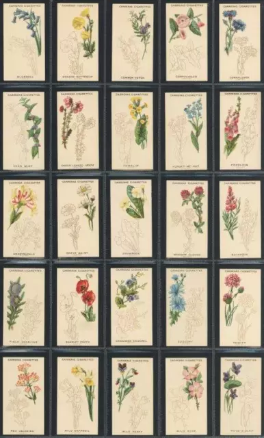 Carreras - 'Wild Flower Art Series' (1923) - Complete Set