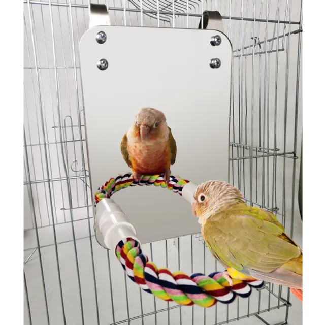 2x Vogelspiegel mit Barsch Schaukel Spielzeug Sittich Finken Lovebirds