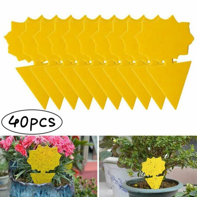 40Pcs Giallo Appiccicoso Trap Carta Intrappola Frutta Artificiale Insetto Afide