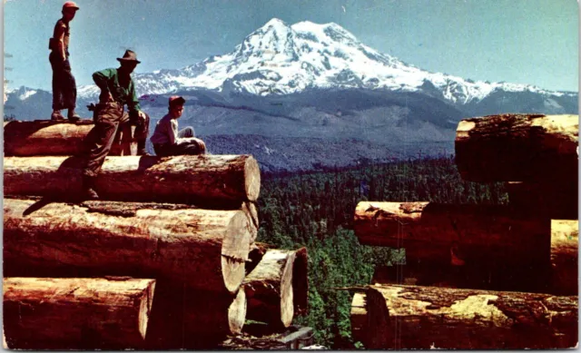 Postcard 1954 Northwest Harvest Trainload Logs Mt Rainier WA D31