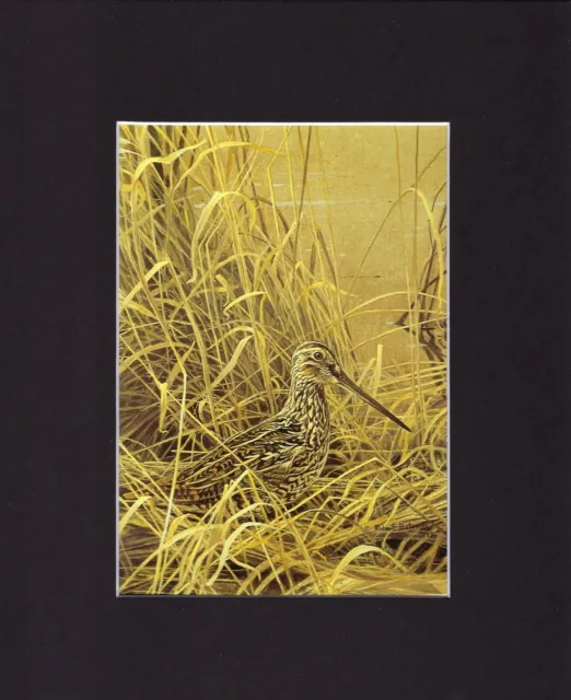 8X10" Matted Print Art Painting Picture, Robert Bateman: Bird in Grass 1976