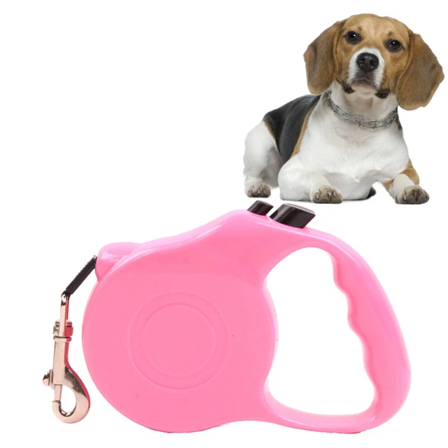 Práctica cuerda de tracción para caminar con correa retráctil para perro mascota cachorro perro