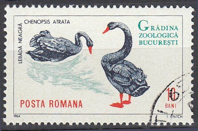 Rumänien gestempelt Vogel Tier Seevogel Schwarzer Schwan Wasservogel Fauna / 657