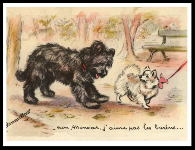 BRIARD AND POMERANIAN VINTAGE STYLE  A4 SIZE 21 x 29.7 cm DOG ART PRINT POSTER